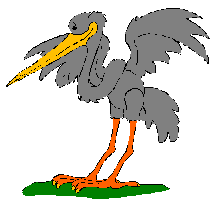 Hello! Do you like fly with me?